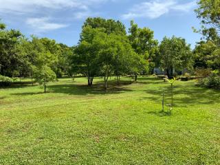 Nature Resort - 3