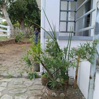 Ocean and mountain view house - Mabini - 4