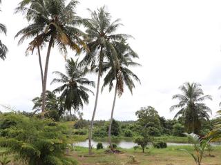 Kadupitioya Bungalow - - 0