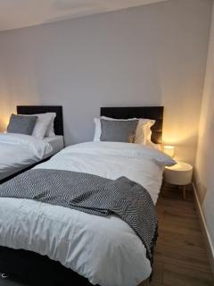Stylish 2 bed home- short walk to Tottenham Stadium/Stations - Londen - 2