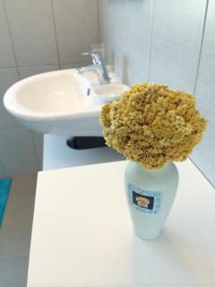 Franka - Pašman - 1