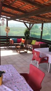 Quinta Camargue - Cela Velha - 9