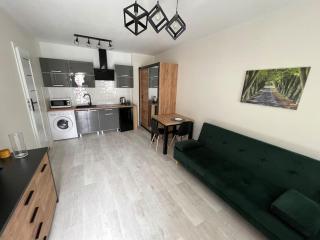 Apartament F Mazowiecka 29 self-check-in - Bydgoszcz - 9