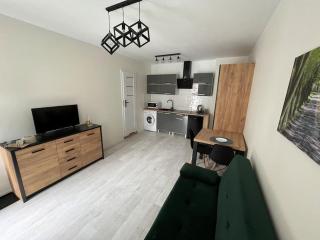 Apartament F Mazowiecka 29 self-check-in - Bydgoszcz - 5