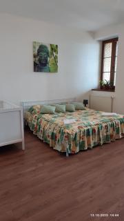 Villa Homestay Nad Helmrovkou - Prag - 3