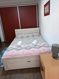 Apartman M&G - Banja Koviljača - 9