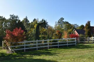 Chalupa Alexandra - 5