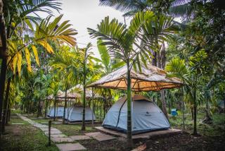 Dandeli Jungle Resort - Dandeli - 7