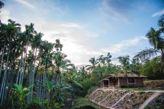 Dandeli Jungle Resort - Dandeli - 8