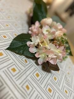 Melody's Apartment - 1