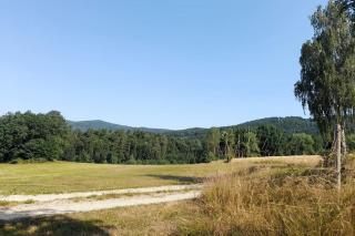 Schiebers Fewo2 mit 6 Betten - Thurmansbang - 6