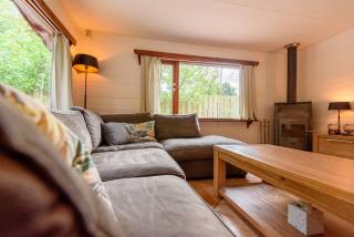Spacious wooden cottage with infra-red sauna at Veluwe - Putten - 5
