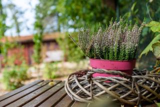 Spacious wooden cottage with infra-red sauna at Veluwe - Putten - 4