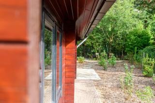 Spacious wooden cottage with infra-red sauna at Veluwe - Putten - 2