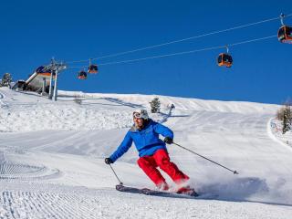 Alpine hut in St Lorenzen ob Murau, Styria - - 6