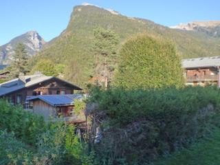 Charmant 2 Pièces Cabine avec Parking et Balcon - Résidence Le Grand Tétras à Samoëns - FR-1-629-105 - Samoëns - 1