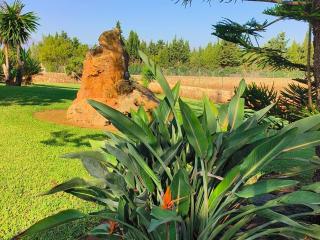 Finca es velar - Muro - 6