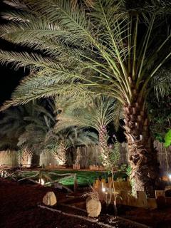 كوخ آفيري Aviary Hut - Al Ula - 3