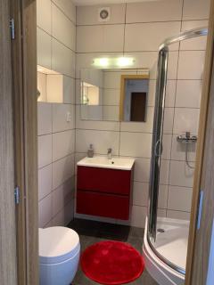 Apartament SŁONECZNY - Bydgoszcz - 5