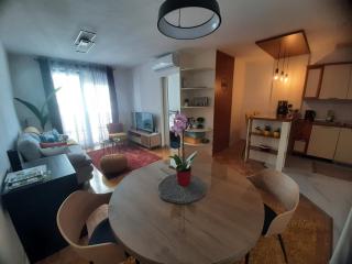 Apartment Relax with infrared Sunshower - Varaždin - 0