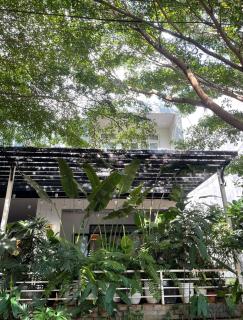 The Highland House - Buon Ma Thuot - 4