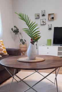 Elite Apartment Jasmina - Bihać - 7