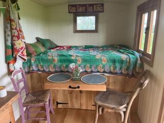 Honeysuckle Shepherd's Hut - 1