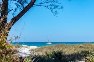 Turtleback Beach House - St Pete Beach - 6