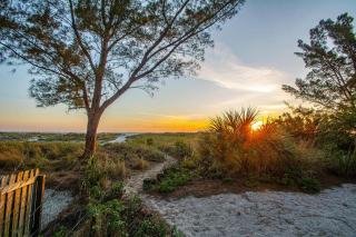 Turtleback Beach House - St Pete Beach - 2