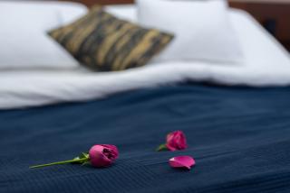 Kiraly Central Apartment with FREE parking and AC - 2