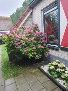 Ferienhaus Strandnah - Breskens - 7