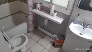 Cozy downtown two bedrooms free parking - Kingston - 4