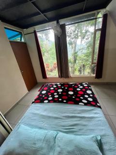 The Hillock-quiet by the Mountains - Vallikavungal - 4