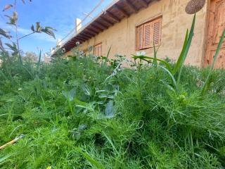 Tunis Camp Fayoum - 4