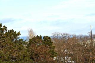 Carpe Diem Ferienwohnung Nr 187 Meerblick - Niendorf - 9