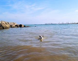 Precioso apartamento en Canet d,en Berenger - Canet de Berenguer - 3