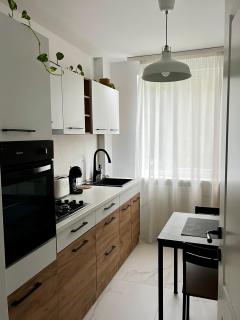 Igla House - Baia Mare - 9