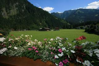 Haus Waidmannsheil - Mayrhofen - 3