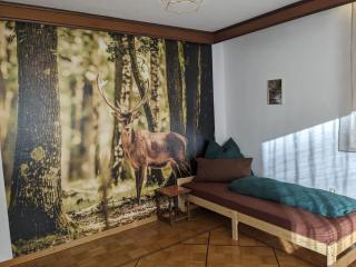 WaldHausen, kostenfrei WLAN und Netflix - Momlingen - 9