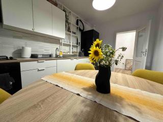 Your condo in Timisoara. Reeas Apart. with pool - 5