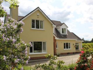 Blossom Hill Bed and Breakfast - Killaloe - 0