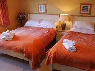 Blossom Hill Bed and Breakfast - Killaloe - 4