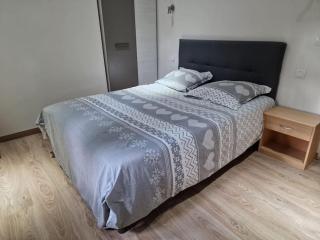 Le Sophonie -10mn Genève-4 Pers - 7