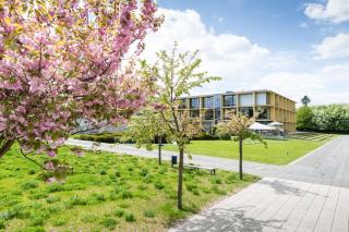 rugs Hotel am Schlosspark Lichtenwalde - Lichtenwalde - 4
