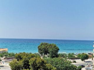 Tranquilidad a la Orilla del Mar - 6