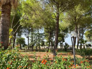 Masseria La Camardia - Sava - 3