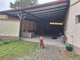 Ferienhaus Herztor - Bad Bibra - 3