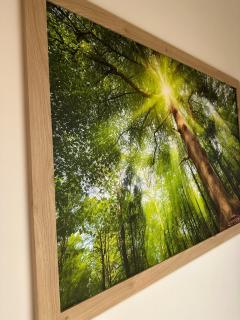 Zentrumsnahe Wohnung - 3