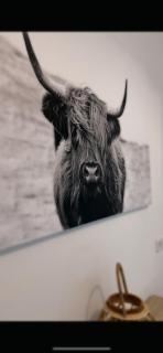 Zentrumsnahe Wohnung - 6