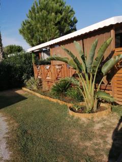 Camping Del Mar B07, Mobil home O'Hara résidentiel, 4 personnes, Camping Del Mar Village - Argelès-sur-Mer - 8